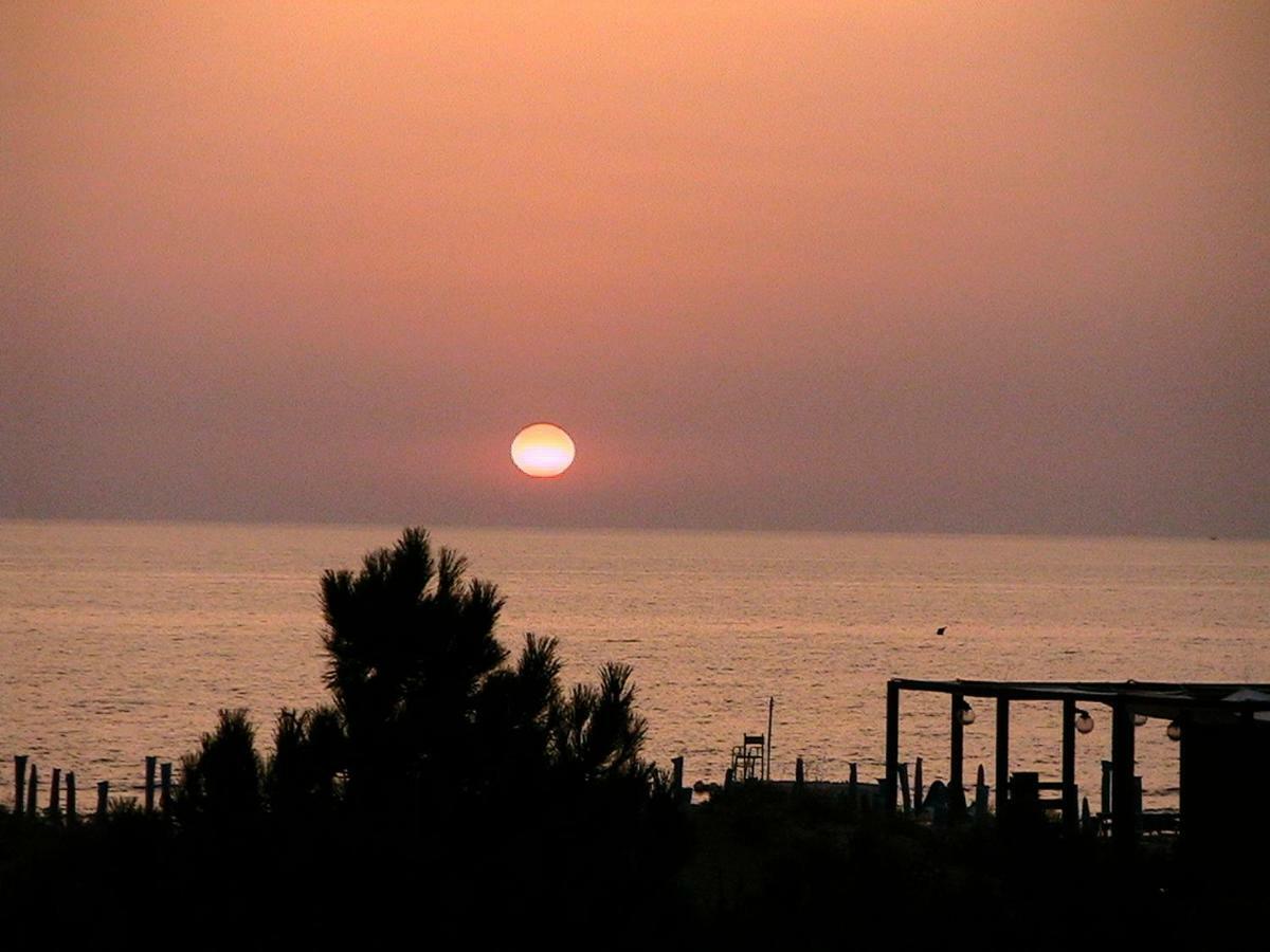 Amazing Sea View Flat Villa Tirrenia Exteriör bild