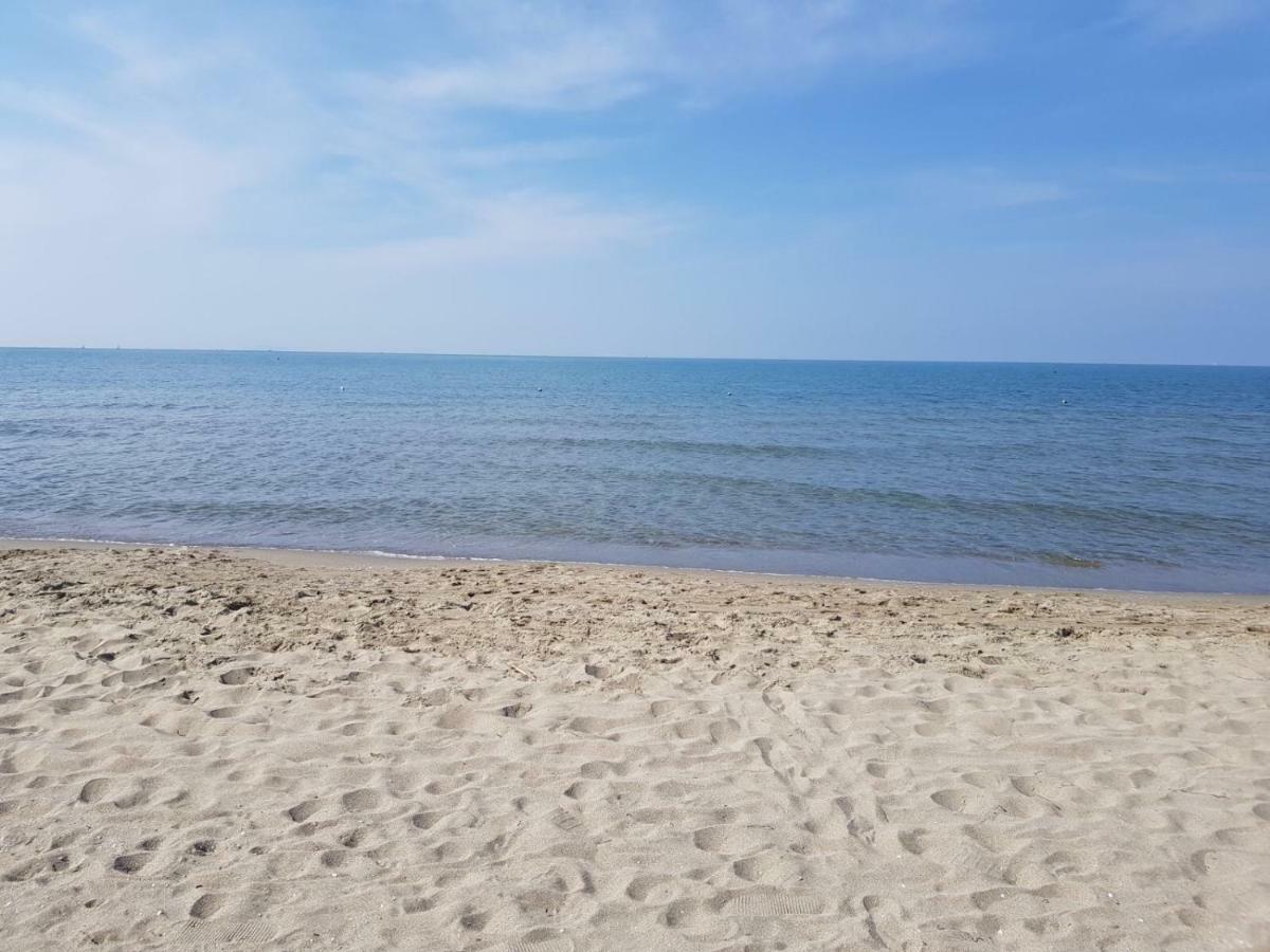Amazing Sea View Flat Villa Tirrenia Exteriör bild
