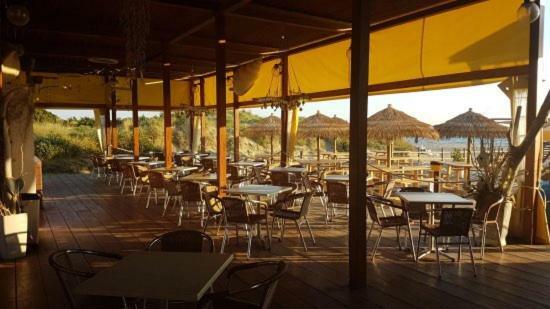 Amazing Sea View Flat Villa Tirrenia Exteriör bild