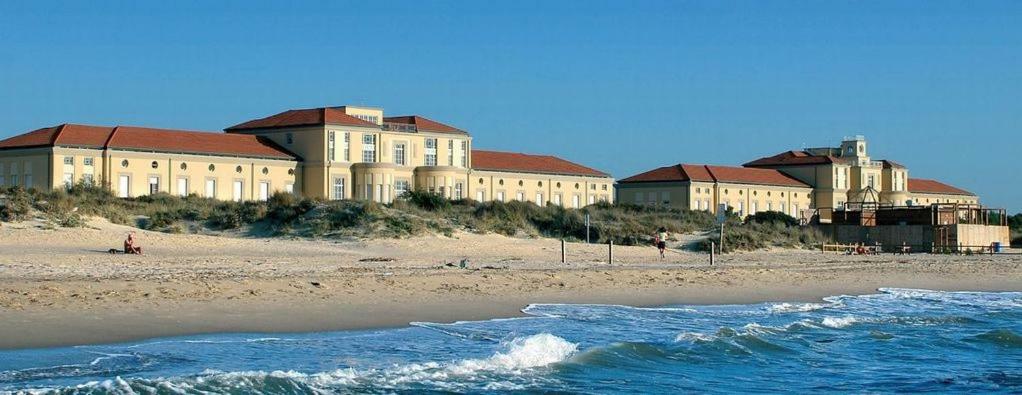 Amazing Sea View Flat Villa Tirrenia Exteriör bild